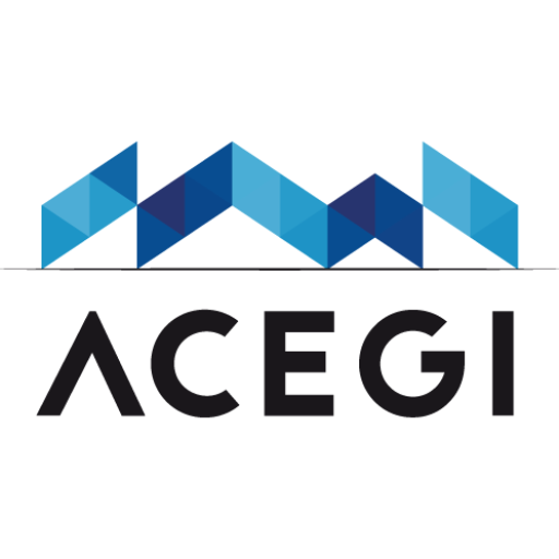 ACEGI